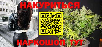 крисы Кунгур