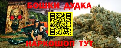 крисы Кунгур