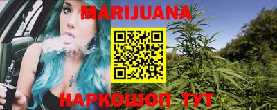 крисы Кунгур