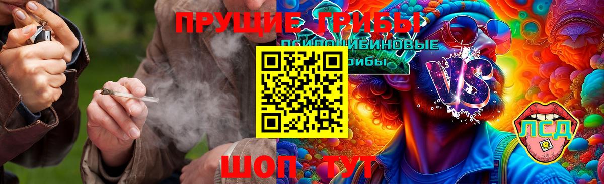 Галлюциногенные грибы MAGIC MUSHROOMS  цены наркотик  Знаменск 